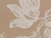 C/LENZUOLO JASMINE 2P. V.01